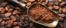 Cocoa Powder