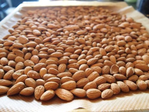 Organic Almond Nuts, Packaging Type : 10kg, 1kg, 20kg, 5kg