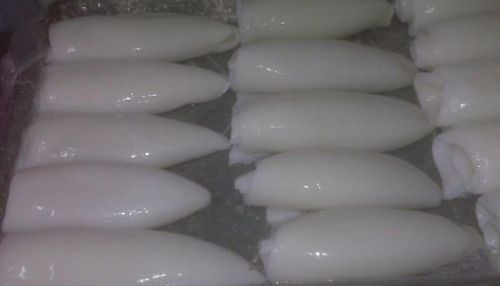 Frozen Cuttlefish Fillet, Certification : FDA Certified.