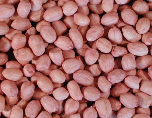 Organic Peanut Kernels, Packaging Type : Brownish