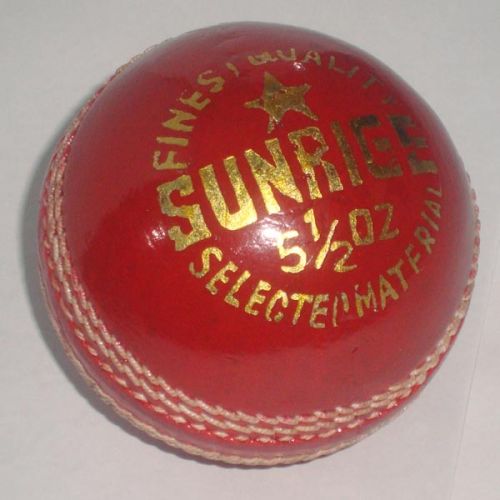 Leather Cricket Balls