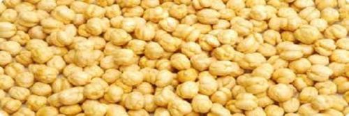 Chickpeas, Application : Cooking, Salads, Snacks