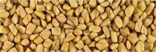 Fenugreek Seeds