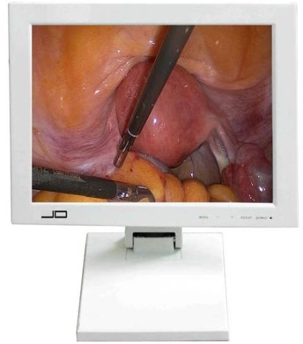 LCD Medical Endoscope Monitor, Brand Name : JINDE (JD)