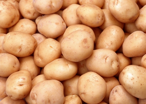 AGROFARM fresh potato, Cultivation Type : Organic YELLOW