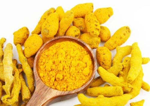 Organic Turmeric Powder, Shelf Life : 1years