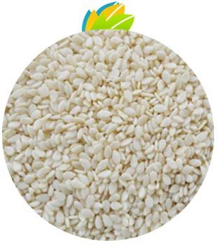 Hulled Sesame Seeds