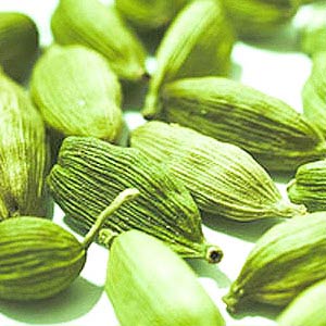 Cardamom Perfume