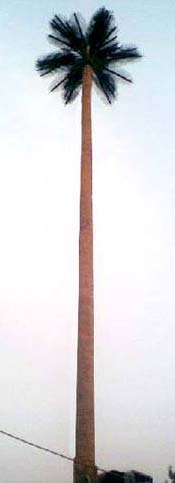 Coated Artificial Coconut Tree, Feature : Dust Resistance, Shiny