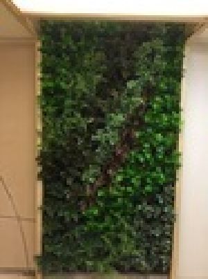 Bio Wall Artificial Vertical Green Wall, For Indoor, Feature : Easy To Place, Fad-less, High Strength
