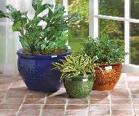 Decorative Planters, For Indoor Use, Shape : Round