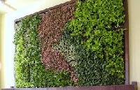 Green Wall