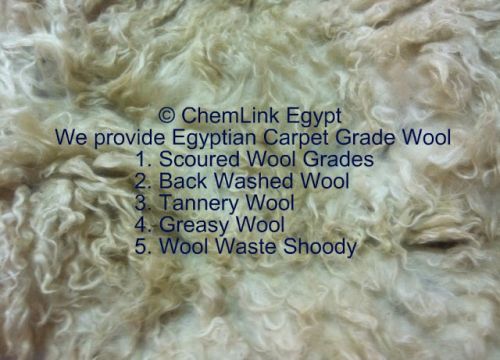 Carpet Grade Raw Wool