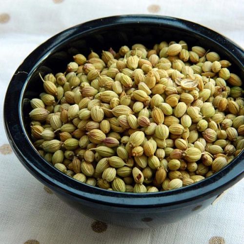 DAKSHA SPICES Coriander Seed