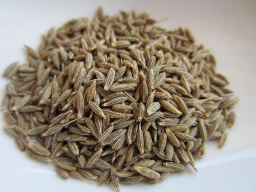 DAKSHA SPICES Cumin Seed