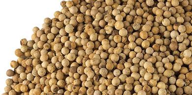 White Pepper, Application : Cooking