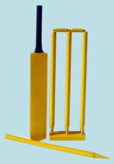 Mini Cricket Set