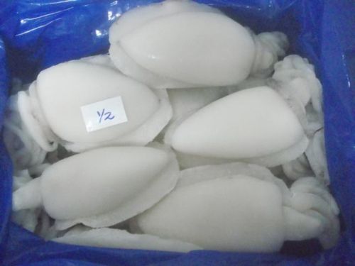 Frozen Cleaned Cuttlefish