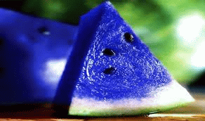 Organic Fresh Blue Watermelon, Shelf Life : 3-5days