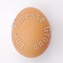 Poultry Egg