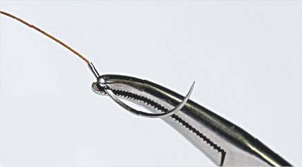 Catgut Chromic Sutures, For Surgical Use, Packaging Type : Carton