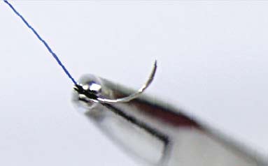 Monofilament Polypropylene Sutures