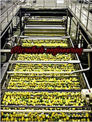 MICROTECH ENGINEERING Amla Sorting Conveyor