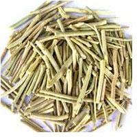 Senna Stems