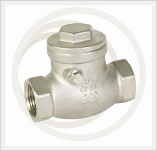 Swimming Pool Check Valve