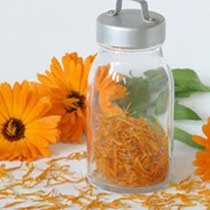 Marigold Fragrance Oil