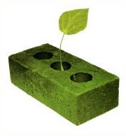 Fly ash brick