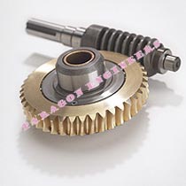 Worm Gears