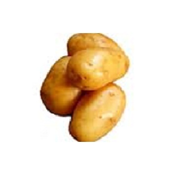 Pukhraj Potato