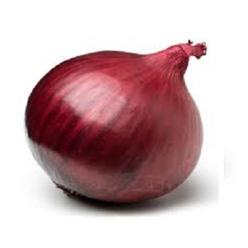 Fresh Red Onion