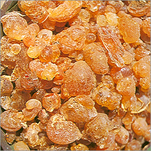 Gum Arabic, Storage : Store In A Cool, Dry Place