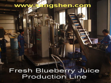 Fresh Blueberry Juice Production Line