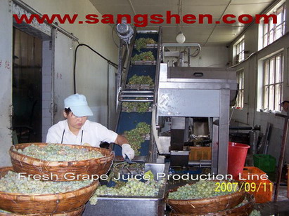 Fresh Grape Juice Production Line
