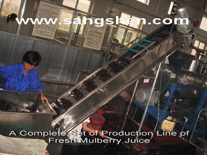 Fresh Mulberry Juice Production Line