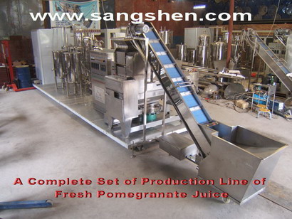 Fresh Pomegranate Juice Production Line