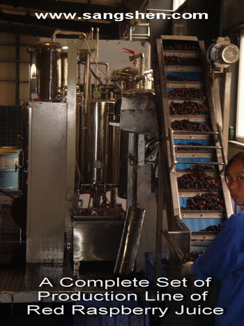 Fresh Red Raspberry Juice Production Line