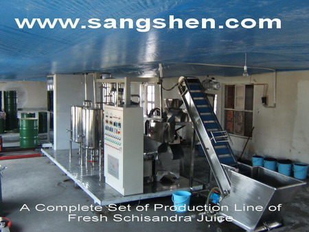 Fresh Schisandra Juice Production Line