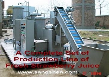 Strawberry Juice Production Line