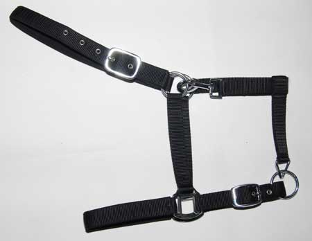 Horse Halters