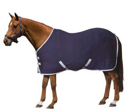 Cooler Rugs