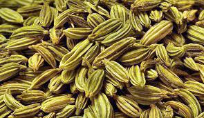 Fennel Seeds