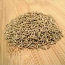 Cumin seeds, Shelf Life :1 Year