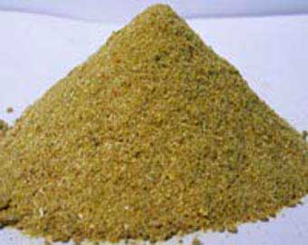 Coriander Powder