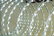 Concertina Wire