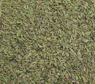 Fennel seeds, Storage Condition : Dried