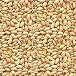 Hulled Sesame Seeds